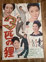Poster for 3 Raccoon Dogs