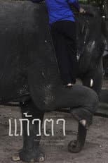 Poster for Keawta