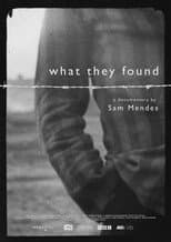 Poster for What They Found