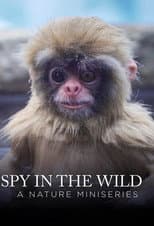 Poster for Spy in the Wild