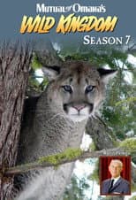 Poster for Season 7