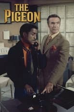 Poster for The Pigeon