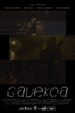 Poster for Gauekoa