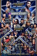 Poster for RevPro 13 Year Anniversary Show - Day 2