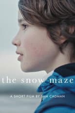 Poster for The Snow Maze