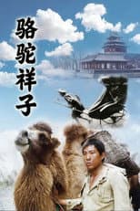 Poster for 骆驼祥子