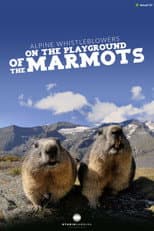 Poster for Alpine Whistleblowers - on the playground of the marmots