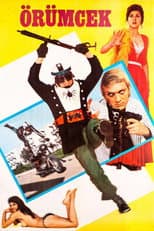 Poster for Spider