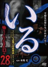 Poster for 「Iru.」~ Kowasugiru Tōkō Eizō 13-hon ~ Vol.28