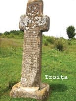 Poster for Troița