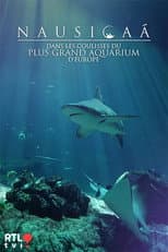 Poster for Nausicaá : Dans les coulisses du plus grand aquarium d'Europe