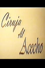 Poster for Ciruja al acecho