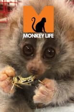Poster for Monkey Life