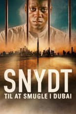 Poster for High: Surviving a Dubai Drugs Bust