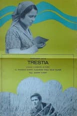 Poster for Das Schilfrohr
