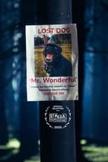 Poster for Mr. Wonderful