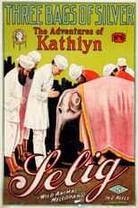 Poster for Three Bags of Silver