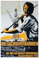 Poster for The Experts