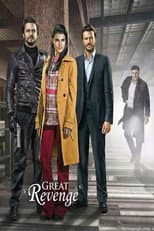 Poster for Great Revenge