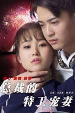 Poster for 总裁的特工宠妻