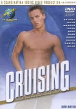 Poster for Cruising