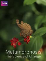 Poster for Metamorphosis: The Science of Change