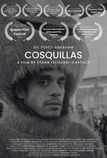 Poster for Cosquillas