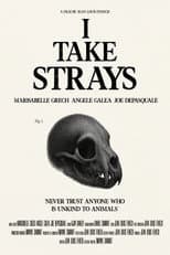 Poster for I TAKE STRAYS