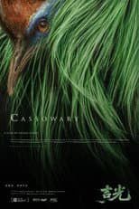 Poster for Cassowary