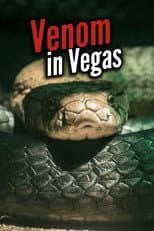 Poster for Venom In Vegas