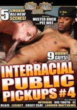 Poster for Interracial Public Pickups 4
