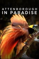 Poster for Attenborough in Paradise