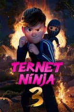 Poster for Checkered Ninja 3