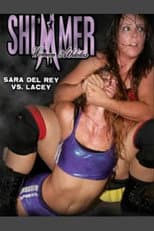 Poster for SHIMMER Volume 14: Hot Summer Nights