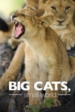 Poster for Big Cats, Small World