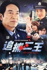 Poster for 追捕二王
