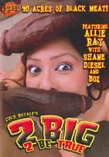 Poster for 2 Big 2 Be True