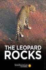 Poster for The Leopard Rocks