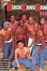 Poster for Black Gang Bang 14