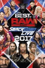 Poster for WWE Best of Raw & SmackDown Live 2017