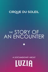 Poster for The Story Of An Encounter