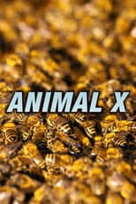 Poster for Animal X