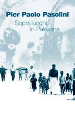 Poster for Scouting in Palestine