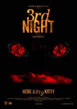 Poster for 3rd Night