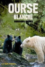 Poster for Ourse blanche, oursons noirs : la belle histoire