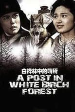 Poster for A Post in White Birch Forest