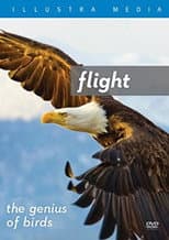 Poster for Flight: The Genius of Birds
