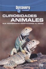 Poster for Wild Weird Animals