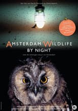 Poster for Amsterdam Wildlife by Night