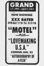 Poster for Lovemaking U.S.A.